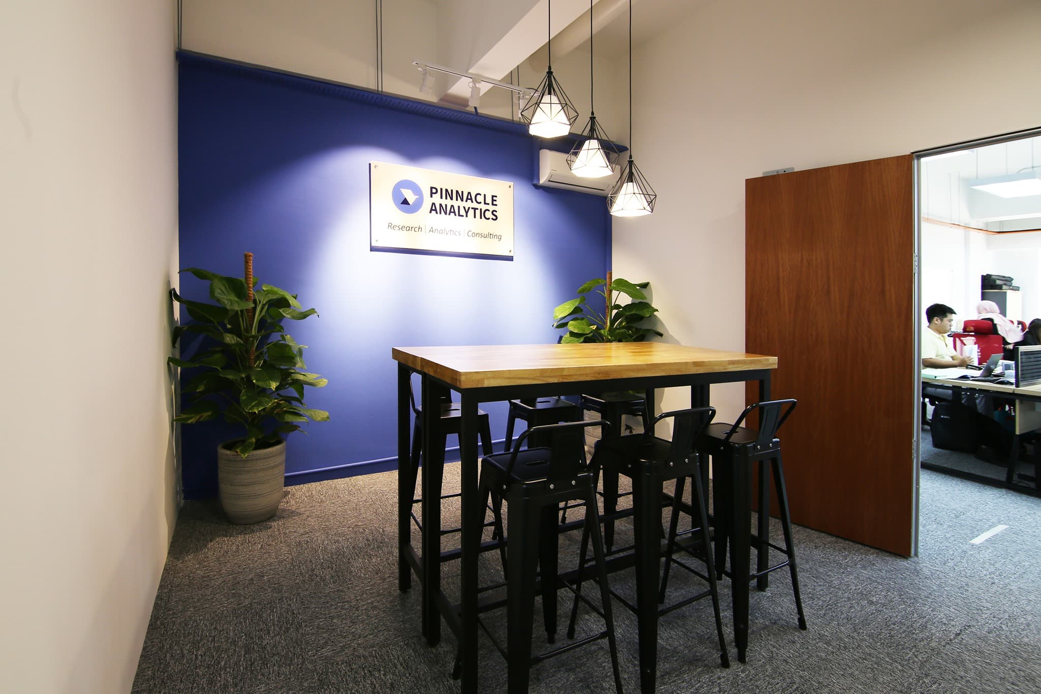 Pinnacle Analytics Facilities
